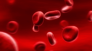 Read more about the article Elevate Your Blood Health: A Holistic Guide to Boosting RBC and Hemoglobin Levels Naturally at Home